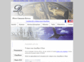 dls-paris.com