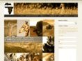 elevenpointseven.com