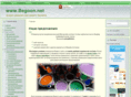 begoon.info