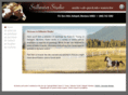 stillwaterartstudio.com