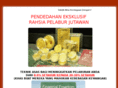 steadyincome.ws