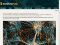 methnerlab.com