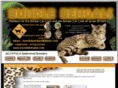 bundlebengals.com