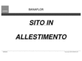 banaflor.com