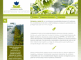 horizonteyjardin.com