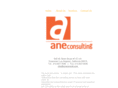 aneconsult.com