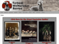 tarheelweimrescue.org
