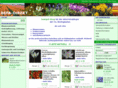 saatgut-shop.com