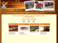 couleurs-berberes.com