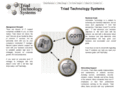 triadtechsys.com