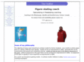 timcoach.com