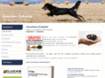 xn--haustiere-zubehr-0wb.de