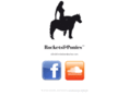 rocketsandponies.com