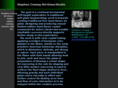 stematdan.com