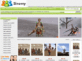 sinomy.com