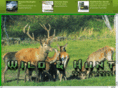 huntercollection.com