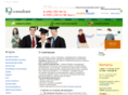 iqconsultant.ru