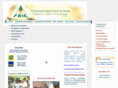 feic.com.br