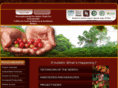 sustainablecoffeeproject.com