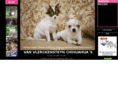 chihuahua-vanvlerckensteyn.com