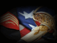 usmcvta.org