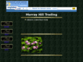 murrayhilltrading.com