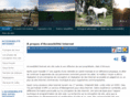 accessibiliteinternet.net