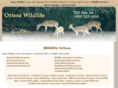 wildlifeorissa.com