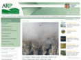 arplazio.it