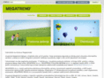megatrend.com