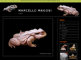 marcellomagoni.it