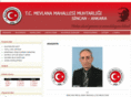 mevlanamahallesi.org