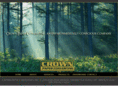 crownpaperconverting.com