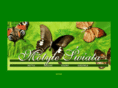 motyle-pl.com