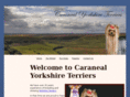 caranealyorkshireterriers.com