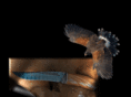 blum-knives.com