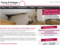 thonig-kollegen.de