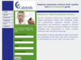caledoniaenvironmental.com