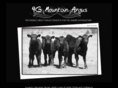 4gmountainangus.com
