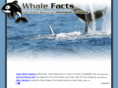 whale-facts.net