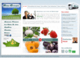 ribegroupe.com
