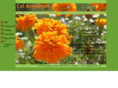 calarmengol.com
