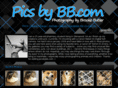 picsbybb.com
