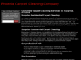 surprisecarpetcleaning.com