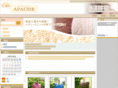 e-apache.com
