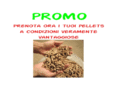 fergarden.com