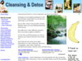 cleansing-and-detox.com
