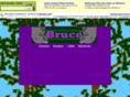 bruceurso.com