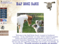 halfbrokeranch.com