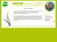 enasturias.org